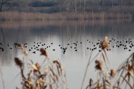 Lago La Mantellina